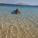 survivors2014 Avatar